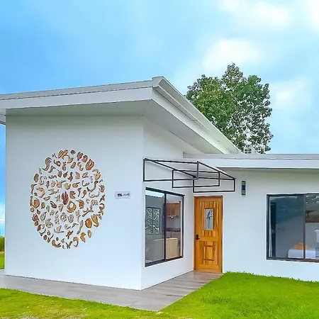 Panoramic Ocean View Jungle Home With Private Pool Uvita Exterior photo